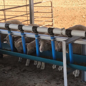 Alternative view of Up to 50m Custom Sheep Feeder