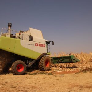 Claas Lexion 570 Stroper / Combine Harvester