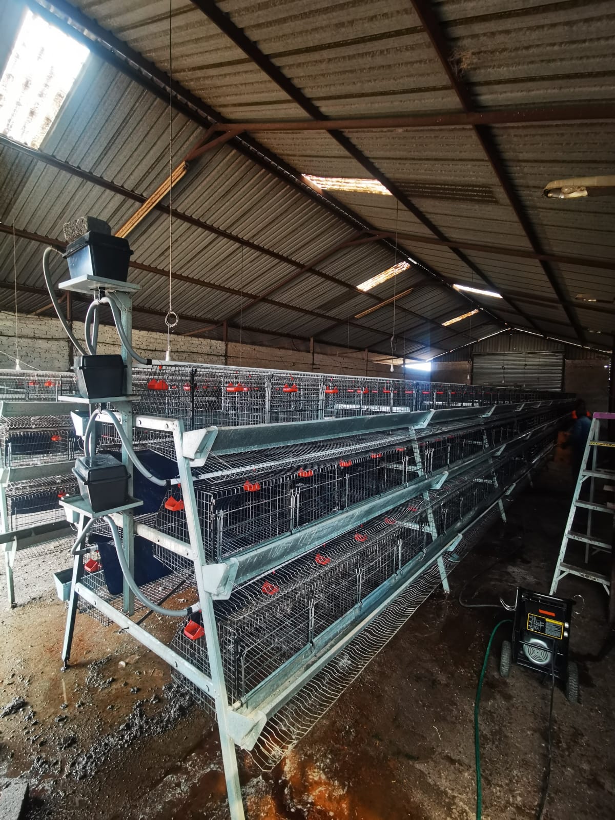 Hoender Hokke / Chicken Layer Cages - Image 4