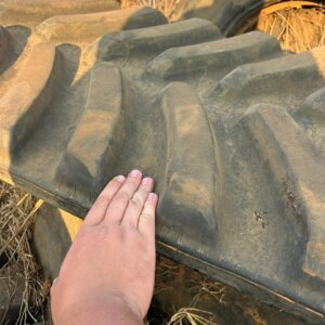 Alternative view of Challenger 865 Tracks