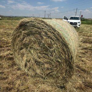 Alternative view of Erogratis / Oulands Grasbale / Grass Bales