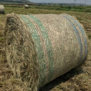 Erogratis / Oulands Grasbale / Grass Bales