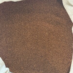 Teff Saad / Seed