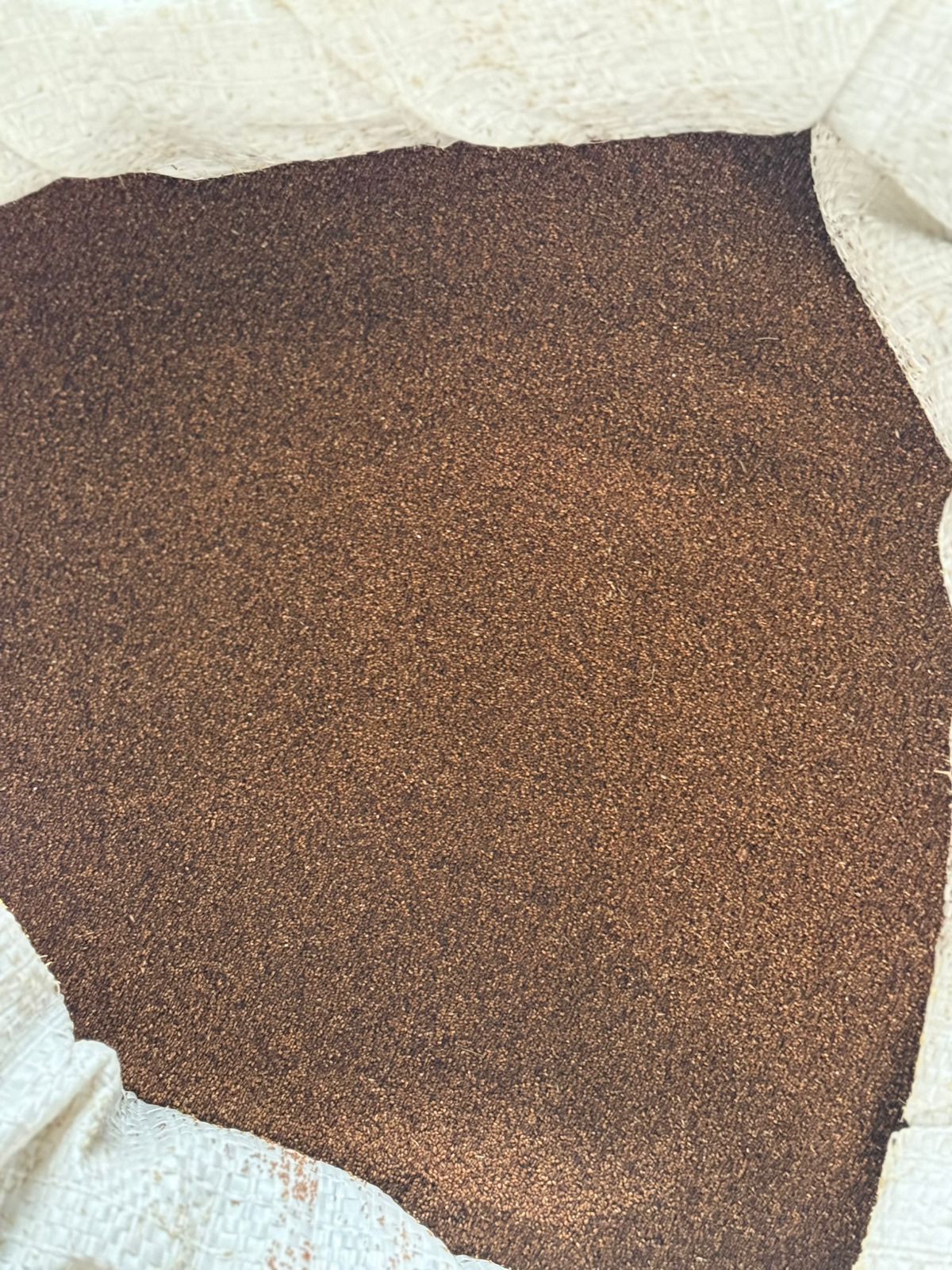 Teff Saad / Seed