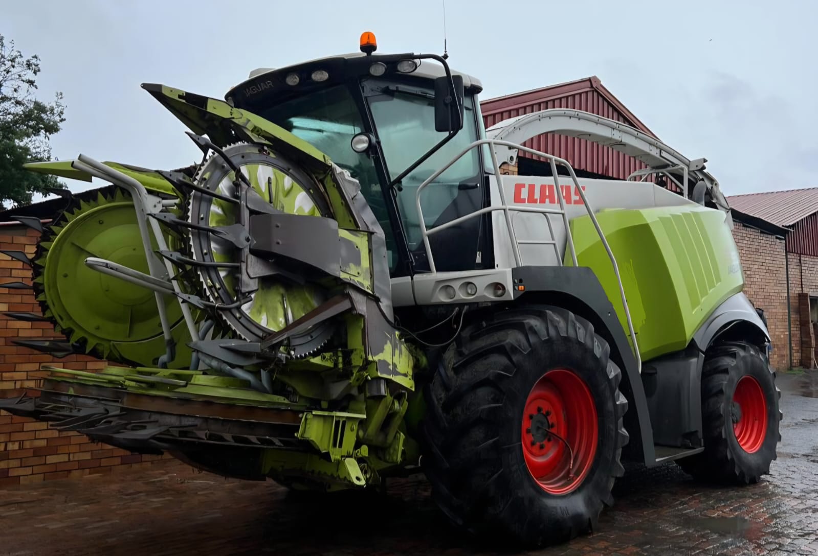 Claas Jaguar 950 with Orbis 600 Tafel / Table