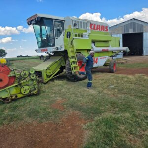 Claas Dominator 204 Mega Stroper met Tafel / Combine Harvester with Table