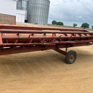 20ft Case Sonneblomtafel / Sunflower Table