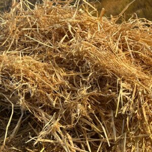 Alternative view of Barley Chaff Feed / Gars Kaf Voer