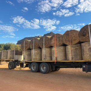 Barley Chaff Feed / Gars Kaf Voer