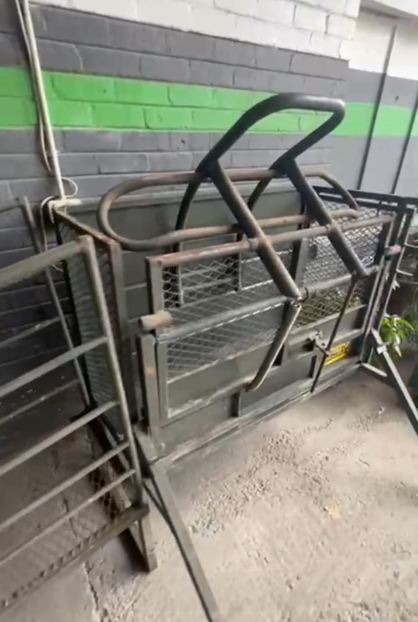 Taltec Sheep/Pig Scale Setup / Skaap/Vark Skaal Gang