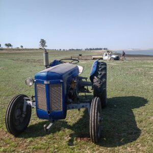 Ferguson TEA 20 (Vaaljapie) Trekker / Tractor