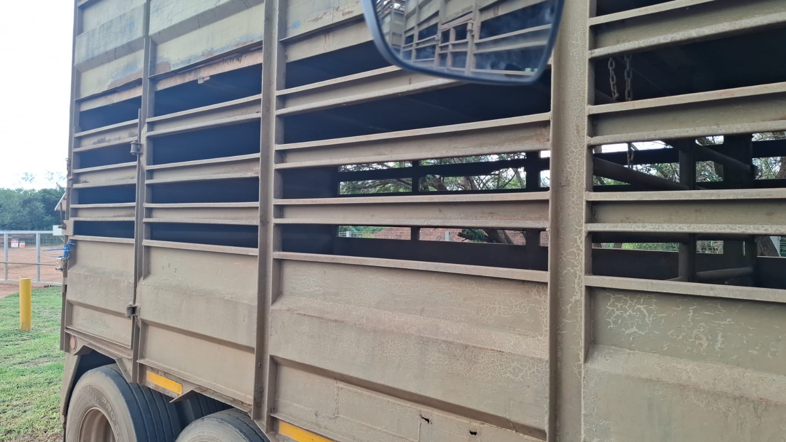 Interlink Bees/Skaap Sleepwa / Cattle/Sheep Trailer - Image 4