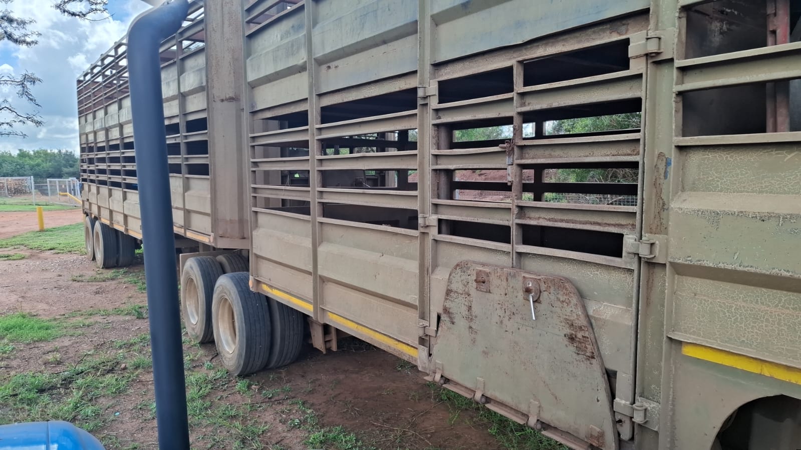 Interlink Bees/Skaap Sleepwa / Cattle/Sheep Trailer - Image 5