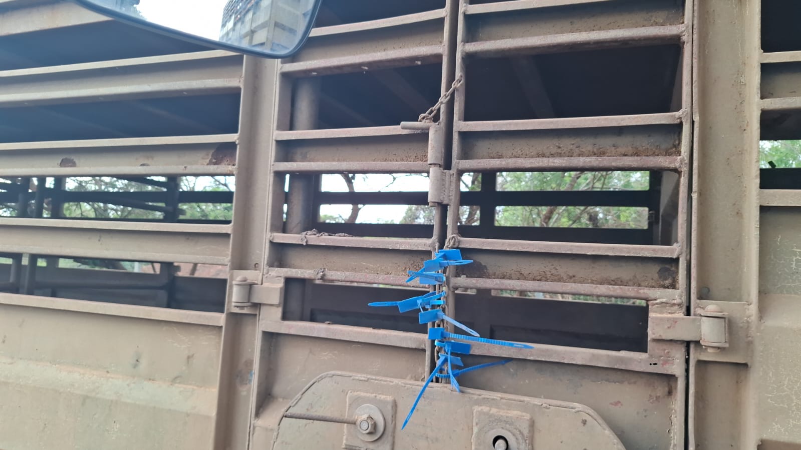 Interlink Bees/Skaap Sleepwa / Cattle/Sheep Trailer - Image 6