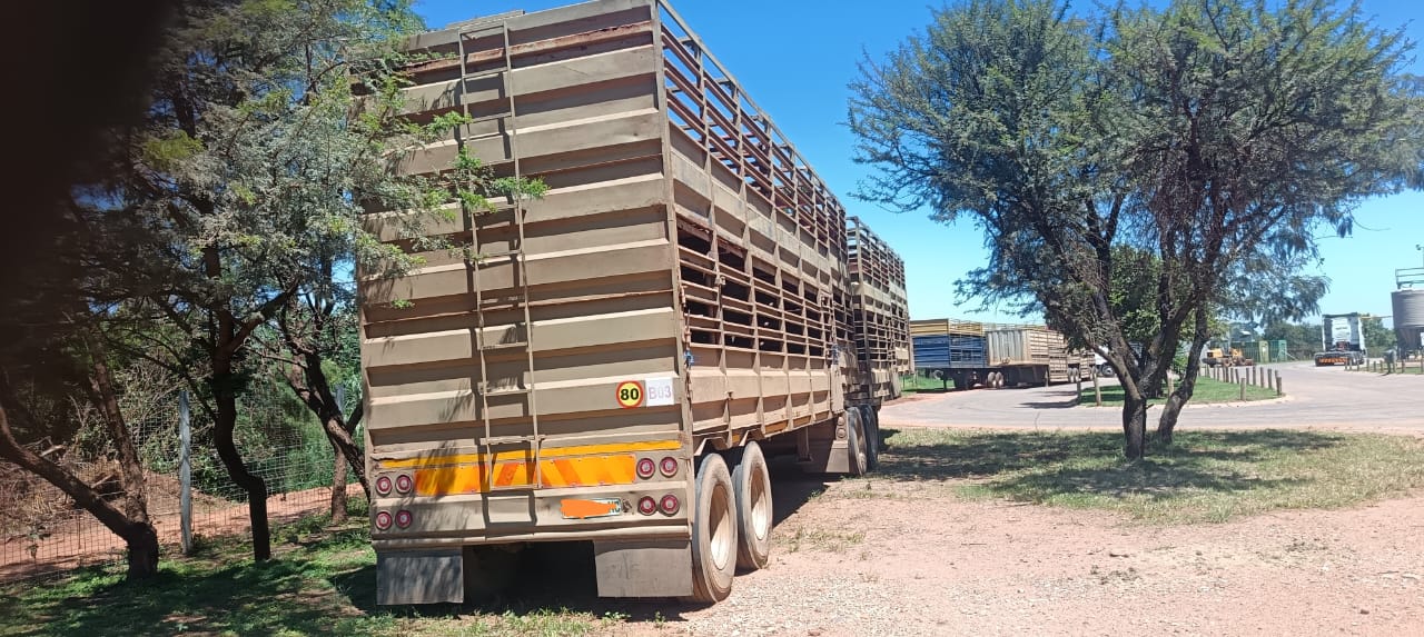 Interlink Bees/Skaap Sleepwa / Cattle/Sheep Trailer - Image 7