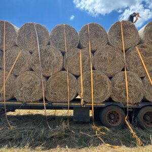 800x Gras Bale / Grass Bales