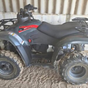 Linhai 300cc 4x2 Vierwiel Motorfiets / Quad Bike