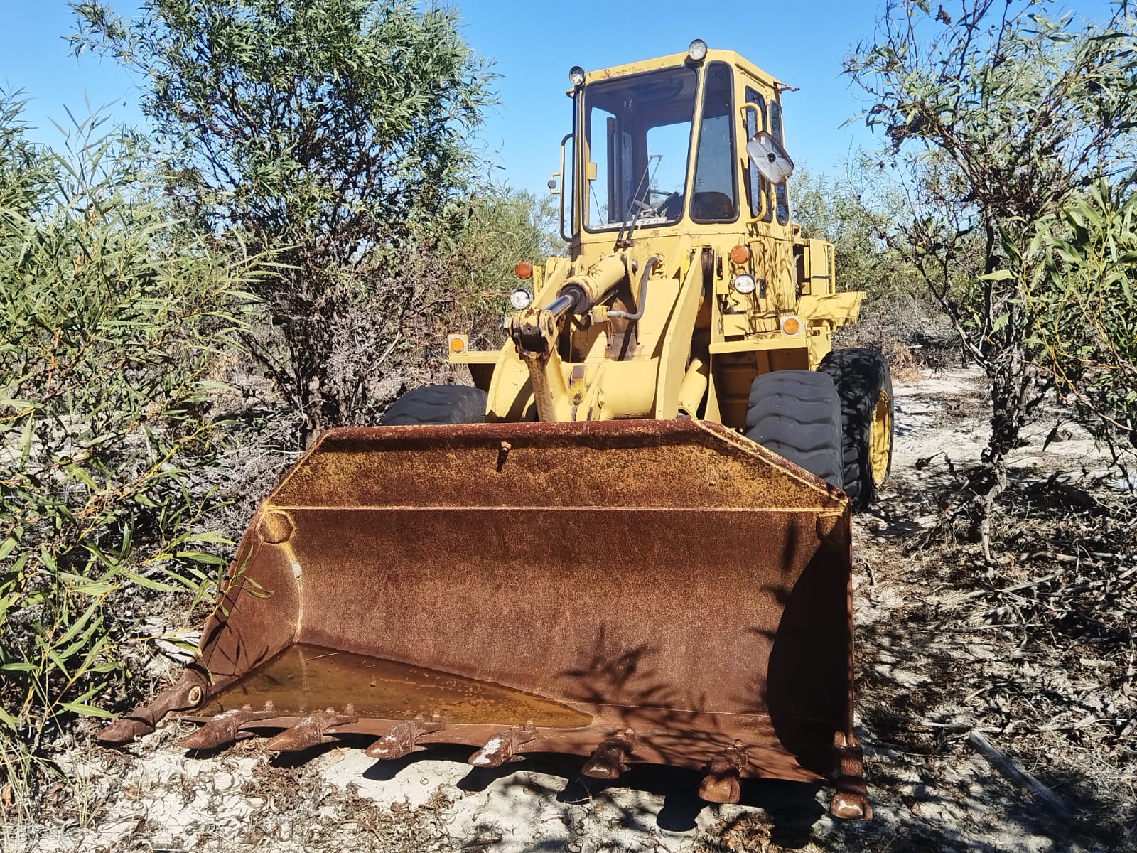 CAT 916 Front End Loader / Voorlaaier - Image 4