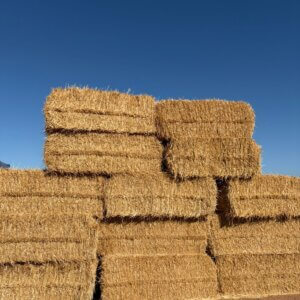 1 290 x Big Pack Strooi Bale / Straw Bales