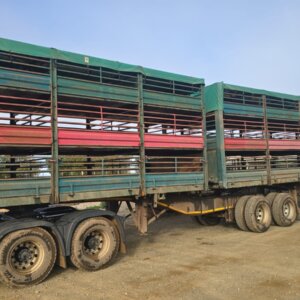 Alternative view of SA Truck Bodies 3 Deck Link Trailer / Sleepwa