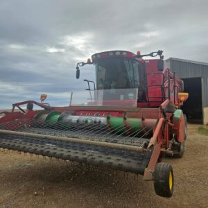 Alternative view of Case 8010 Stroper / Combine Harvester with Pickup Header