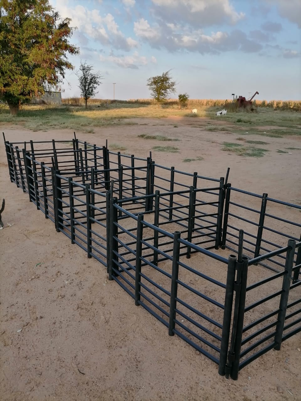 Plastiesse Lamhekke / Plastic Sheep Gates