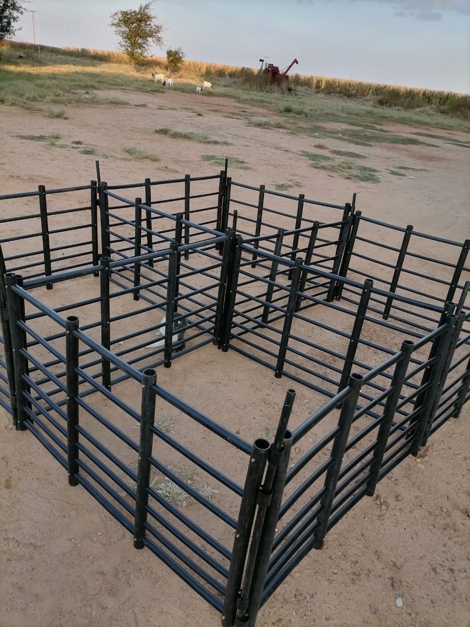 Plastiesse Lamhekke / Plastic Sheep Gates - Image 5