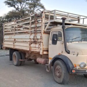 Alternative view of 8 Ton Mercedes Benz Dropside Cattle Rail Truck / Valkant Bees Tralie Vragmotor