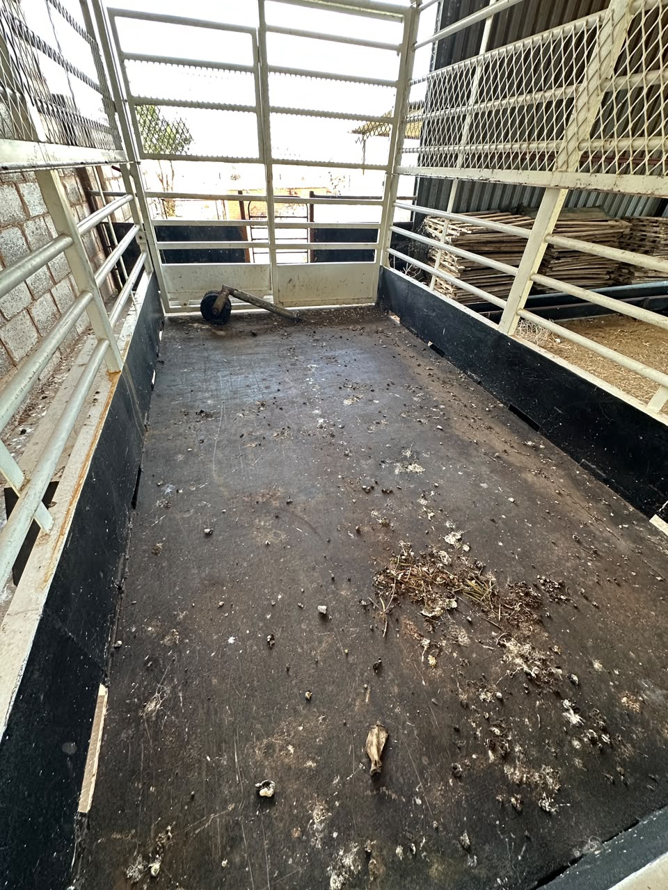 Beeswa / Cattle Trailer - Image 3