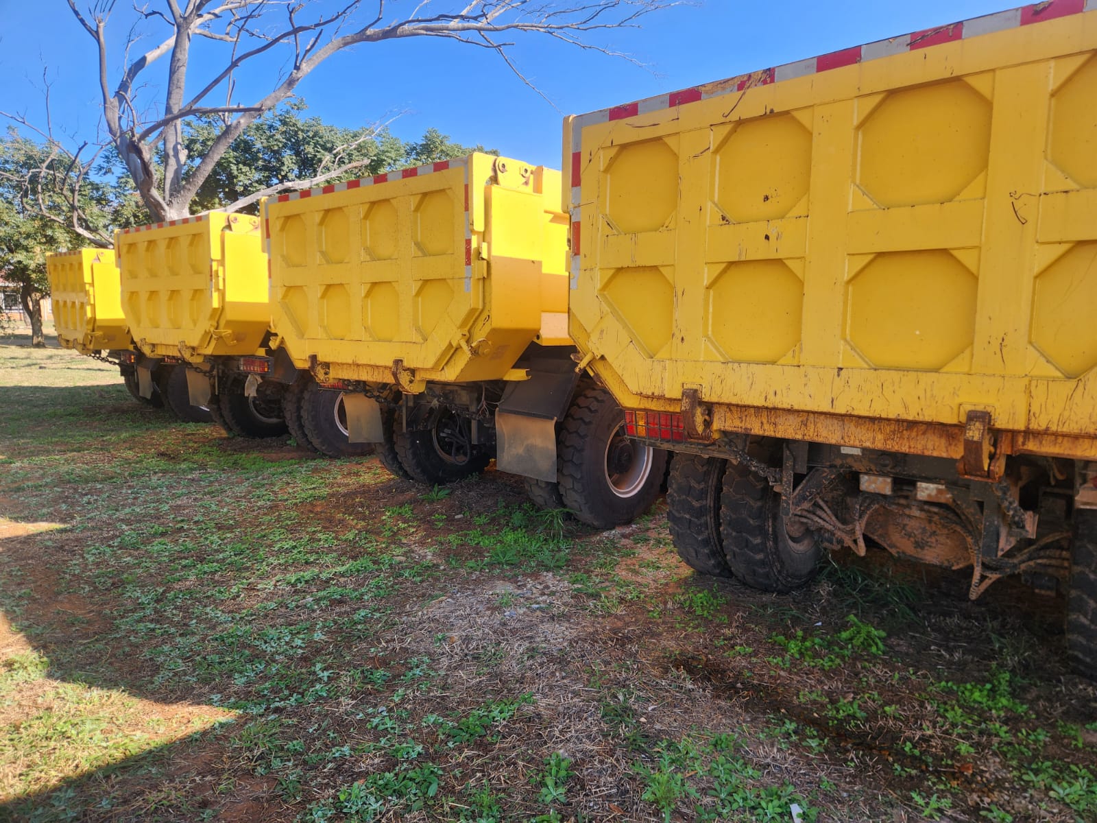 4 x FAW Dumper Trucks - Image 5