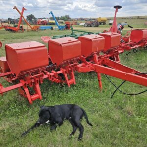 Alternative view of 4 Ry / Row Massey Ferguson 525 Planter