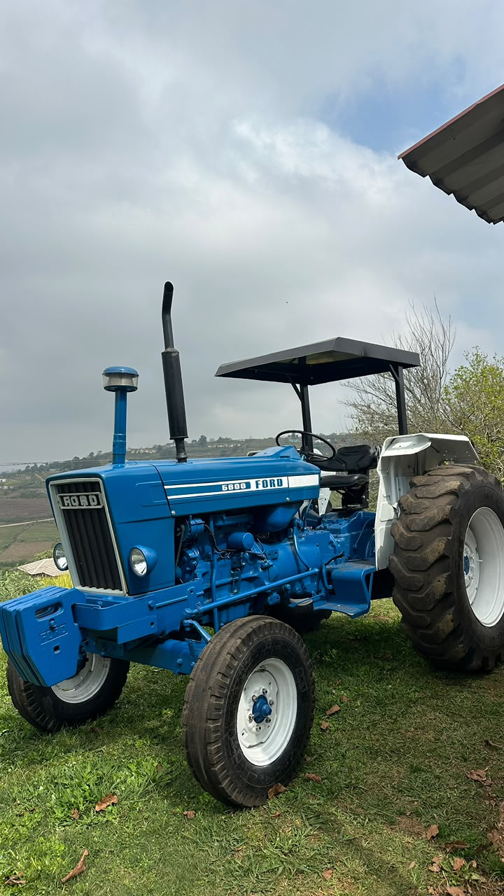 Ford 5600 4x2 Trekker met Ploeg / Tractor with Plough - Image 2